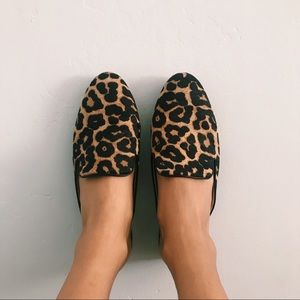 Leopard Slides